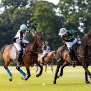 Embroidered Polo Shirts